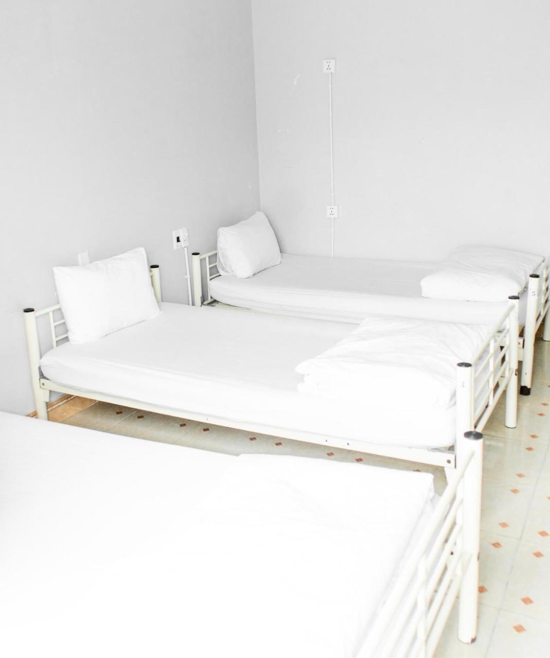 Sunflower Hostel Hội An Extérieur photo